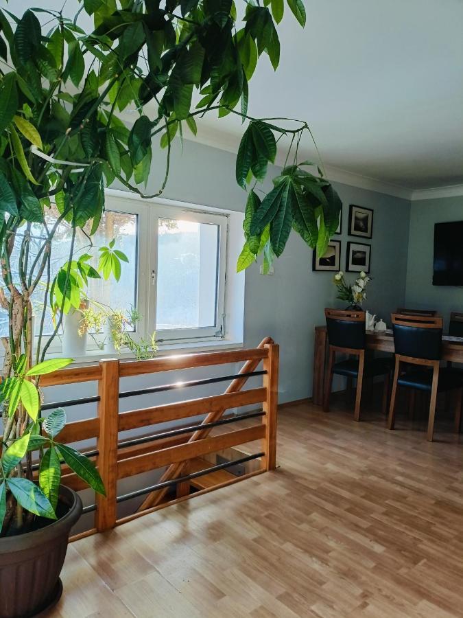 Apartament Nad Potokiem Piechowice  Eksteriør billede
